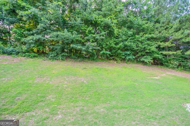 2482 Brittany Park Ln, Ellenwood, GA 30294 - view of green lawn