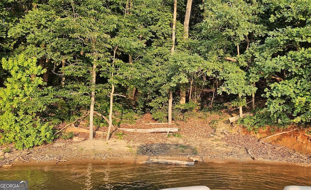 242 Pristine Cv, Hartwell, GA 30643 - view of undeveloped land