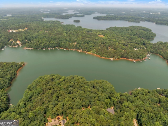 242 Pristine Cv, Hartwell, GA 30643 - bird's eye view of a heavily wooded area and a nearby body of water