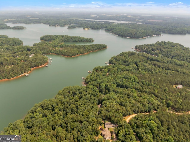 242 Pristine Cv, Hartwell, GA 30643 - drone / aerial view of a forest and a nearby body of water