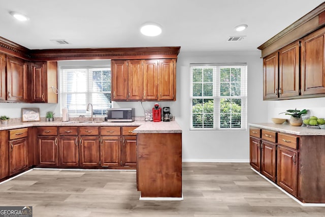 766 Blanton Blvd, Macon, GA 31210 - kitchen with a sink, light countertops, light wood-style flooring, stainless steel microwave, and crown molding