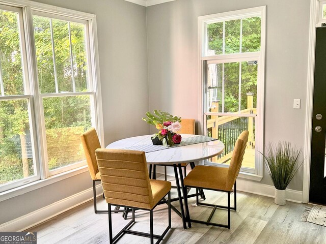 4867 Pinnacle Dr, Stone Mountain, GA 30088 - dining room with baseboards and light wood-style flooring