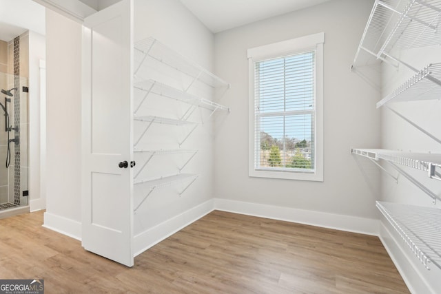 1253 Cumberland Valley Rd, Gainesville, GA 30501 - walk in closet with light wood-style flooring