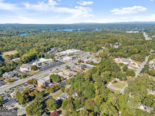1253 Cumberland Valley Rd, Gainesville, GA 30501 - aerial view of property's location featuring a heavily wooded area and nearby suburban area