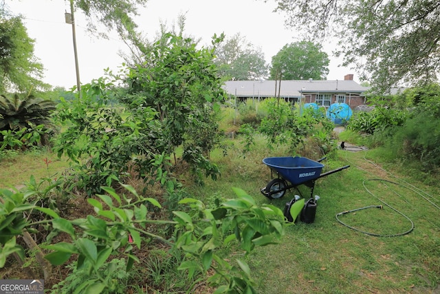 1116 David Newton Rd, Norman Park, GA 31771 - view of yard