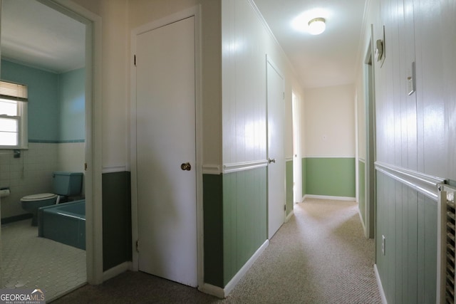 1116 David Newton Rd, Norman Park, GA 31771 - hallway featuring a wainscoted wall and carpet floors