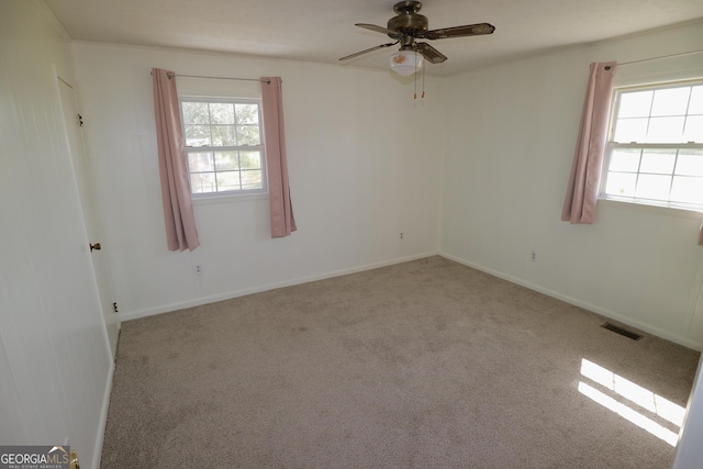 1116 David Newton Rd, Norman Park, GA 31771 - unfurnished room with plenty of natural light, ceiling fan, and carpet floors