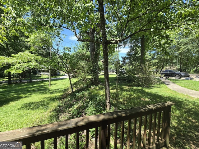 302 Morningside Dr, Clarkesville, GA 30523 - view of green lawn