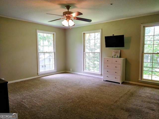 302 Morningside Dr, Clarkesville, GA 30523 - unfurnished bedroom featuring ornamental molding, carpet flooring, multiple windows, and baseboards