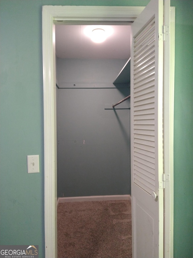 302 Morningside Dr, Clarkesville, GA 30523 - walk in closet featuring carpet