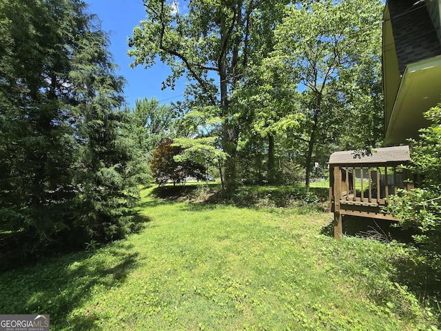 302 Morningside Dr, Clarkesville, GA 30523 - view of green lawn