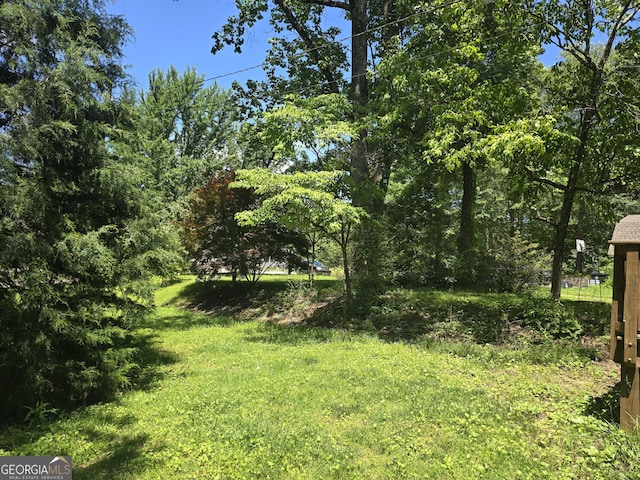 302 Morningside Dr, Clarkesville, GA 30523 - view of yard