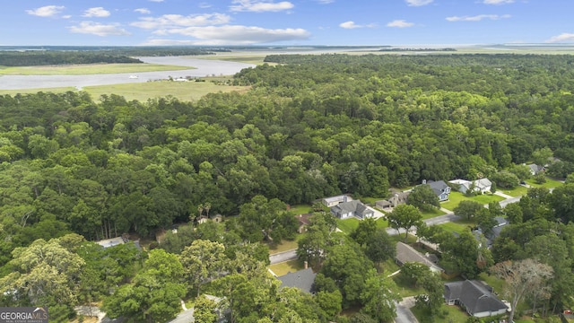 107 Rose Dhu Way, Savannah, GA 31419 - bird's eye view of a heavily wooded area