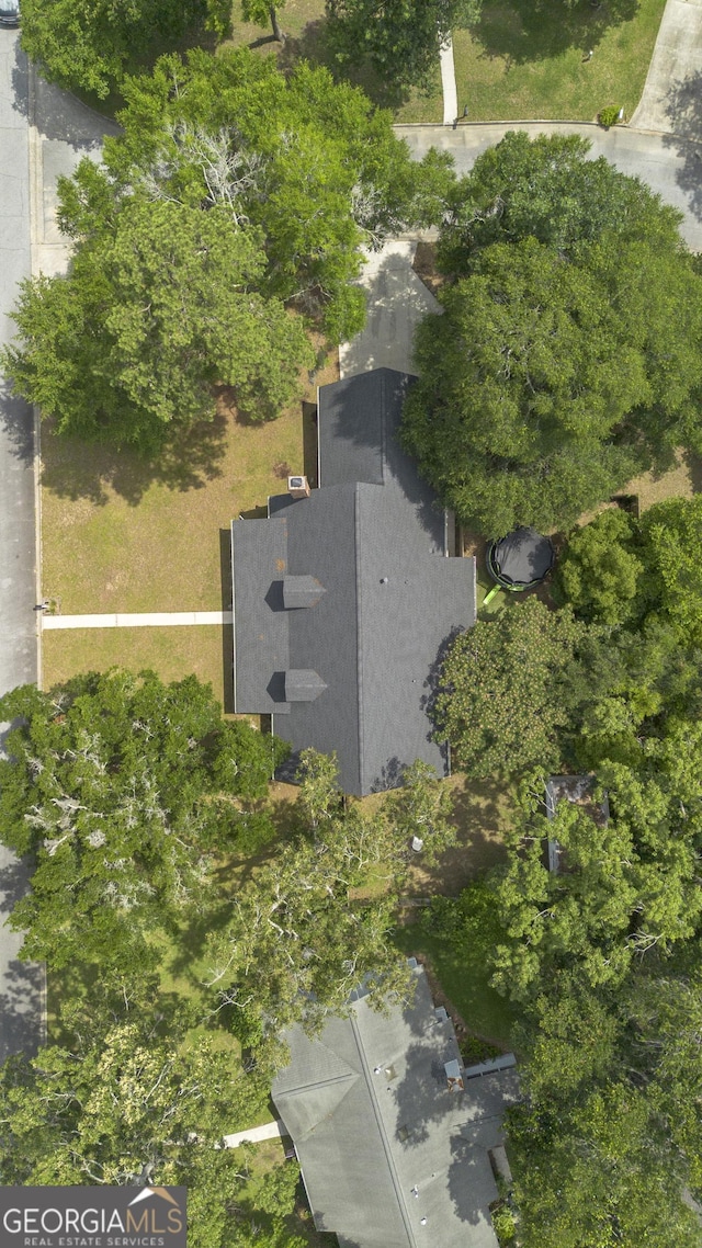 107 Rose Dhu Way, Savannah, GA 31419 - aerial overview of property's location featuring a tree filled landscape
