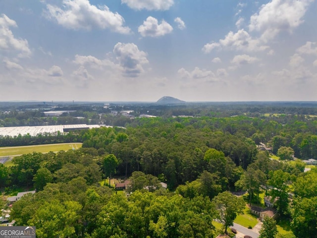 1671 Drayton Woods Dr, Tucker, GA 30084 - aerial view of a heavily wooded area