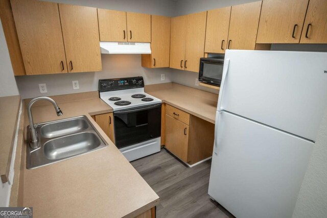 211 N Ave Unit 1122, Athens, GA 30601 - kitchen featuring white appliances, under cabinet range hood, a sink, light wood-style floors, and light countertops