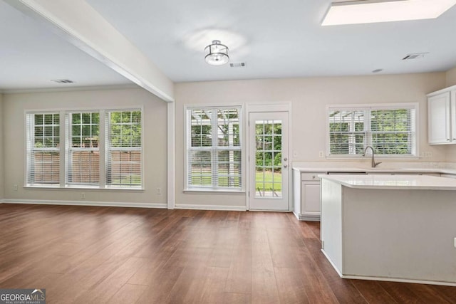 153 Towey Trl, Woodstock, GA 30188 - kitchen featuring light countertops, dark wood-style flooring, white cabinets, and plenty of natural light