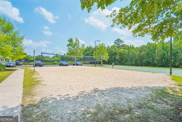 153 Towey Trl, Woodstock, GA 30188 - surrounding community with volleyball court
