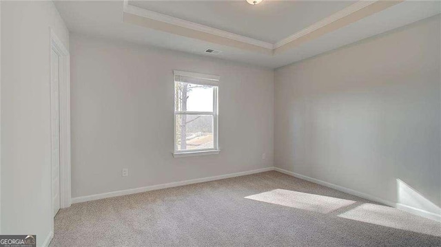 308 Delta Dr, Mcdonough, GA 30253 - empty room with carpet, ornamental molding, and a raised ceiling