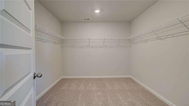 308 Delta Dr, Mcdonough, GA 30253 - spacious closet with carpet