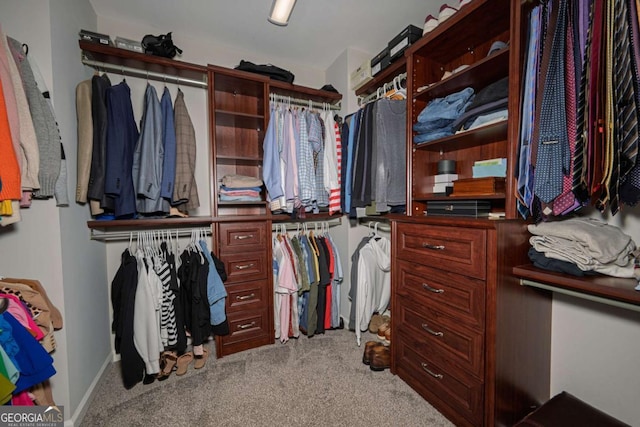 1409 Echo Mill Dr, Powder Springs, GA 30127 - spacious closet with light colored carpet