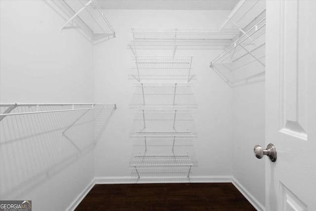 2820 Channing Way, Cumming, GA 30040 - walk in closet with dark wood-style floors