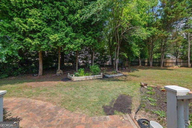 2820 Channing Way, Cumming, GA 30040 - view of yard