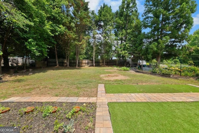 2820 Channing Way, Cumming, GA 30040 - view of yard