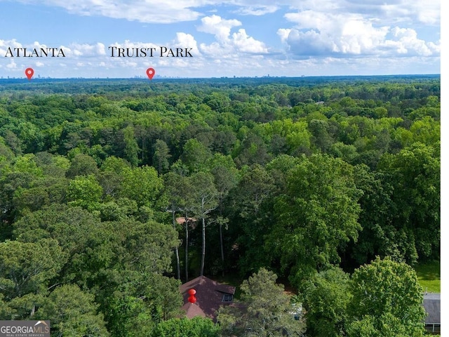 2674 Skylane Dr, Marietta, GA 30062 - aerial view of a forest