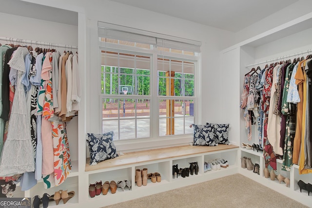140 S Alexander Creek Rd, Newnan, GA 30263 - spacious closet featuring carpet