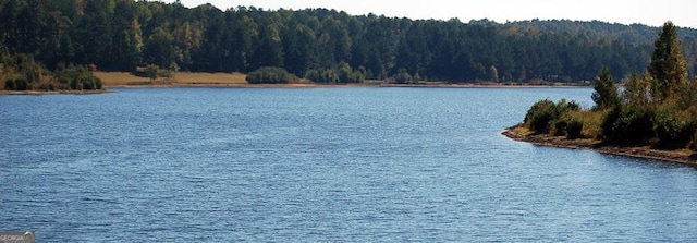 140 S Alexander Creek Rd, Newnan, GA 30263 - water view with a forest