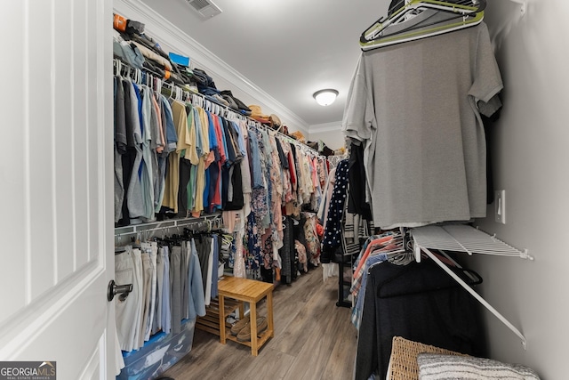 25 Wicklow Ct, Hoschton, GA 30548 - walk in closet with wood finished floors