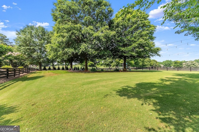 25 Wicklow Ct, Hoschton, GA 30548 - view of yard
