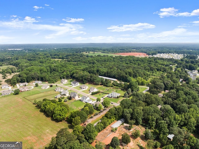 25 Wicklow Ct, Hoschton, GA 30548 - bird's eye view of a forest