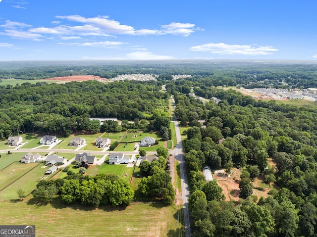 25 Wicklow Ct, Hoschton, GA 30548 - aerial view of a forest