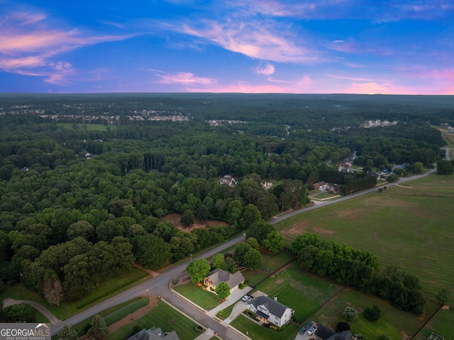25 Wicklow Ct, Hoschton, GA 30548 - aerial view at dusk of a wooded view