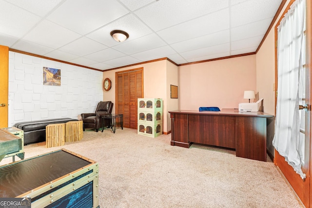 367 Woodbrier, Sautee Nacoochee, GA 30571 - office featuring crown molding, carpet flooring, and baseboards