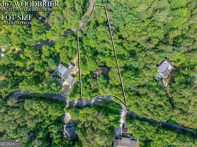 367 Woodbrier, Sautee Nacoochee, GA 30571 - view of property location with property parcel outlined