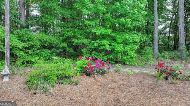 1818 Mcconnell Rd, Grayson, GA 30017 - view of undeveloped land