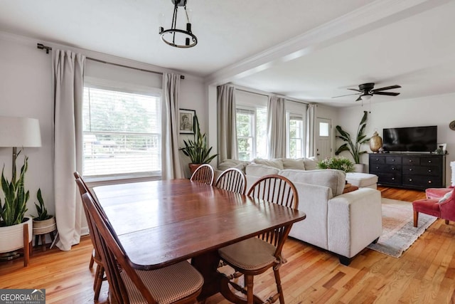 980 Oglethorpe Ave, Athens, GA 30606 - dining area featuring light wood-style flooring, ceiling fan, and ornamental molding