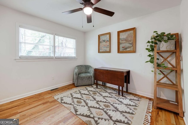 980 Oglethorpe Ave, Athens, GA 30606 - living area with wood finished floors and ceiling fan