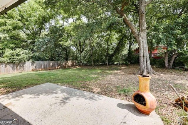 980 Oglethorpe Ave, Athens, GA 30606 - view of yard with a patio area