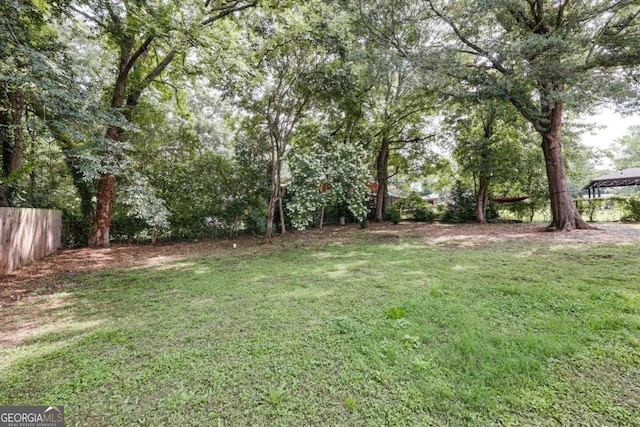 980 Oglethorpe Ave, Athens, GA 30606 - view of yard