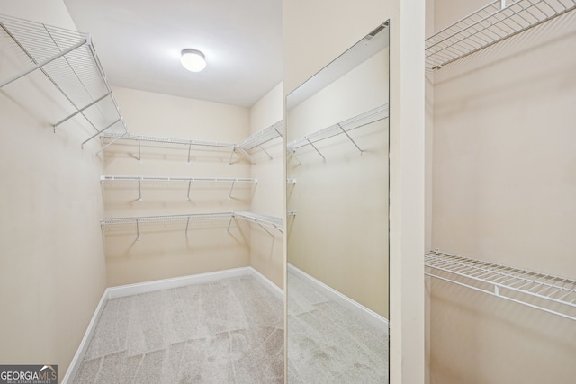 189 Privet Cir, Suwanee, GA 30024 - spacious closet featuring carpet floors