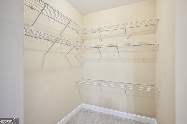 189 Privet Cir, Suwanee, GA 30024 - spacious closet with carpet