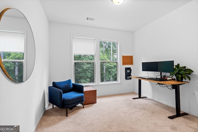 6045 Stargazer Way, Cumming, GA 30028 - office space featuring carpet floors and baseboards