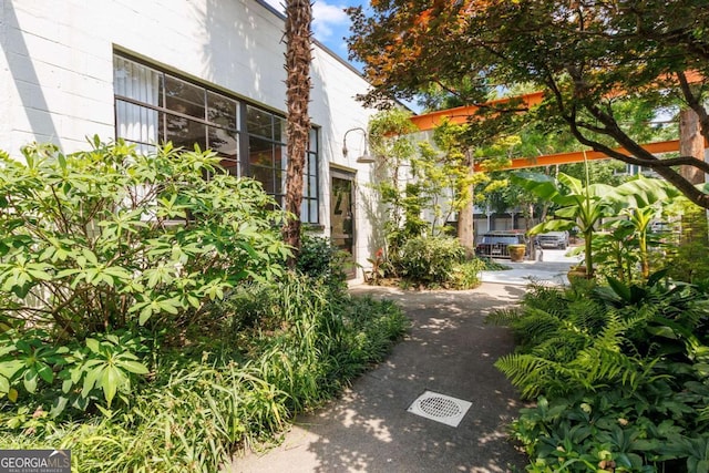 820 Dekalb Ave NE Unit 2, Atlanta, GA 30307 - view of yard