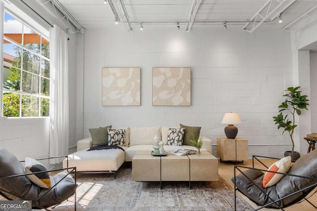820 Dekalb Ave NE Unit 2, Atlanta, GA 30307 - living room with track lighting, healthy amount of natural light, and concrete block wall