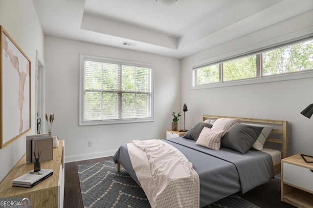 4202 Deming Cir, Sandy Springs, GA 30342 - bedroom with dark wood-style flooring and a tray ceiling