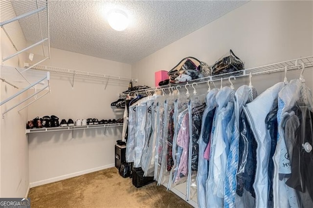115 Pinnacle Ln, Mcdonough, GA 30253 - walk in closet with carpet floors